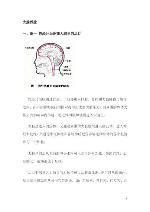 脑炁脉