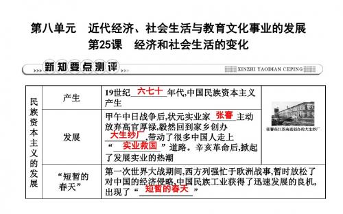 新人教版八年级历史上册第25课经济和社会生活的变化课件