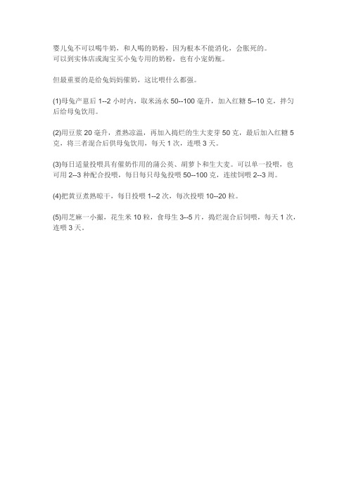 怎么人工喂养仔兔