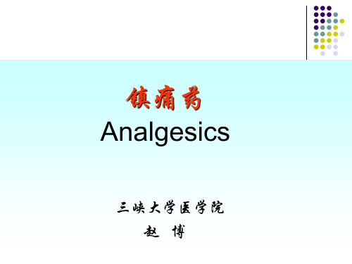《阿片类镇痛药》PPT课件