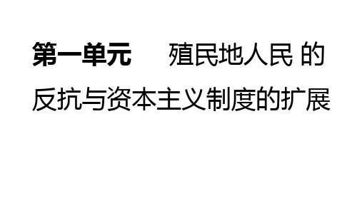 九下册一单元 殖民地人民的反抗与资本主义制度的扩展复习课件.ppt