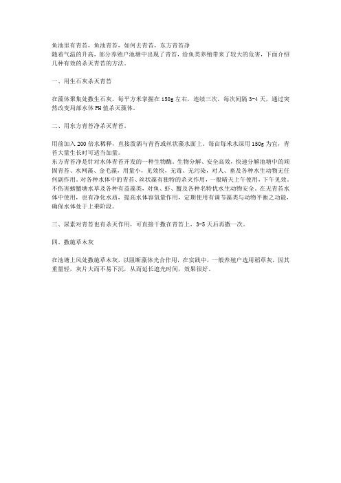 鱼池里有青苔,鱼池青苔,如何去青苔,东方青苔净