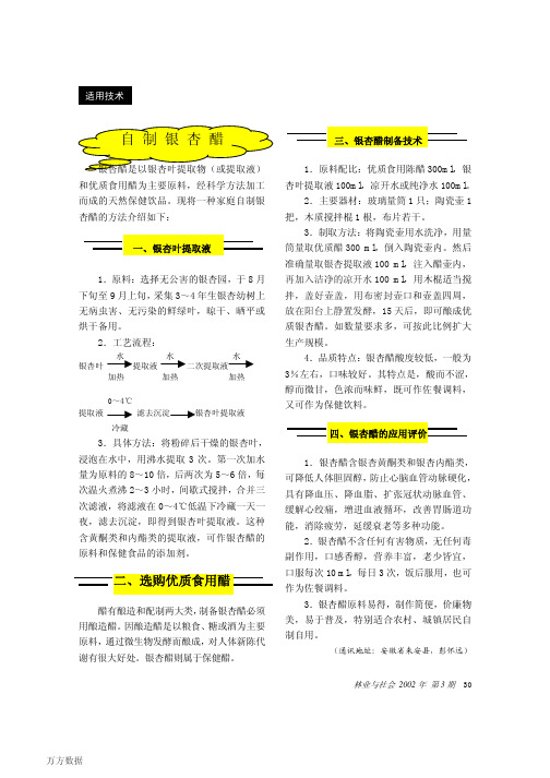 自制银杏醋