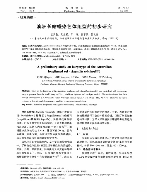 澳洲长鳍鳗染色体组型的初步研究