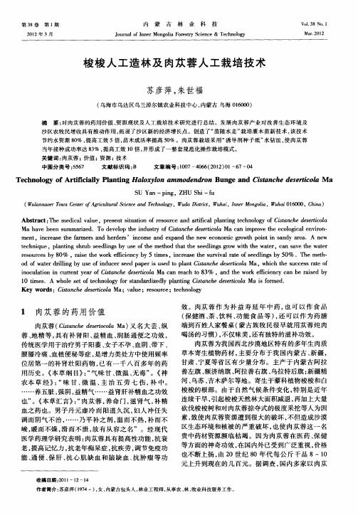 梭梭人工造林及肉苁蓉人工栽培技术