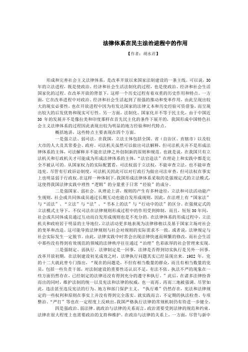 法律体系在民主法治进程中的作用