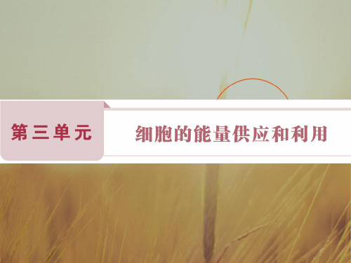 卓越学案2018高考生物总复习课件：第3单元 细胞的能量供应和利用 第8讲
