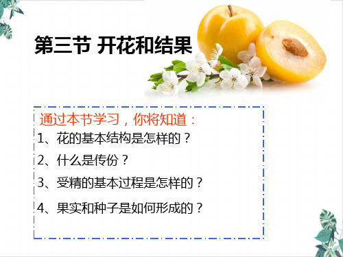 人教版初中生物开花和结果名师课件