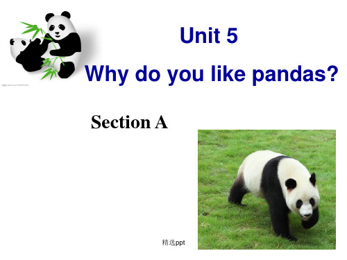 人教版新目标英语新教材七年级下册unit5-why-do-you-like-pandas-课件