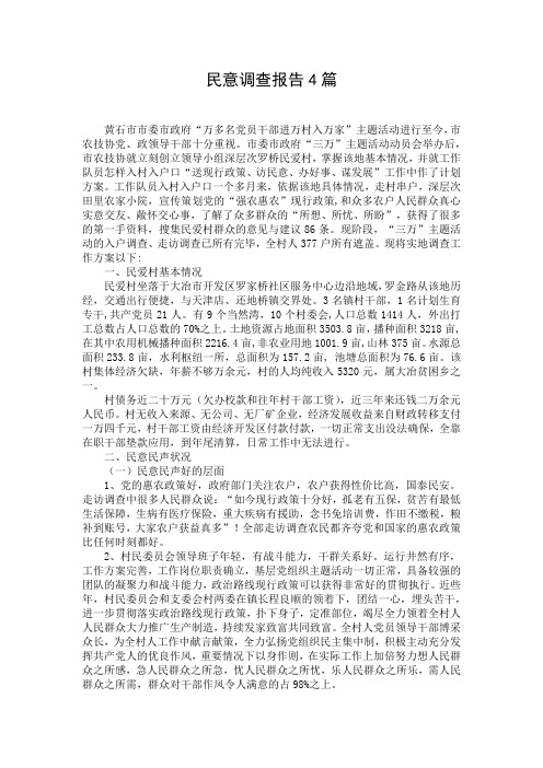 民意调查报告4篇