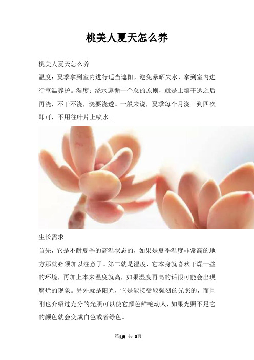 桃美人夏天怎么养