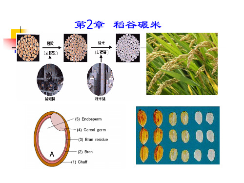 第2章-稻谷碾米