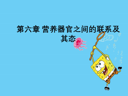 营养器官之间的联系及其变态效应