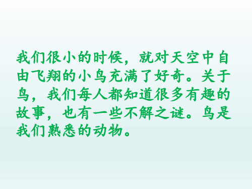 鸟类动物的特征