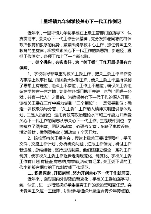 十里坪镇九年制学校关心下一代工作侧记
