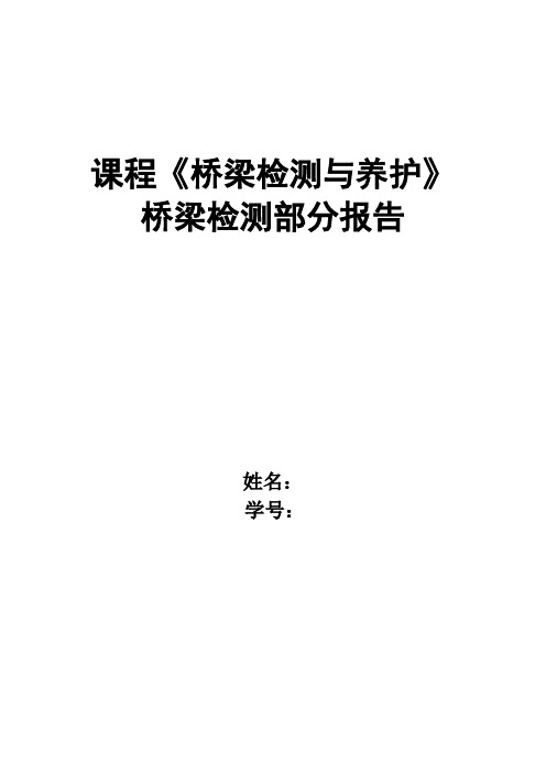 桥梁检测报告