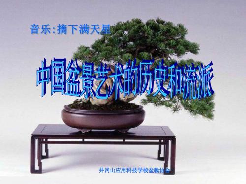 中国盆景艺术的历史和流派-----乐曲
