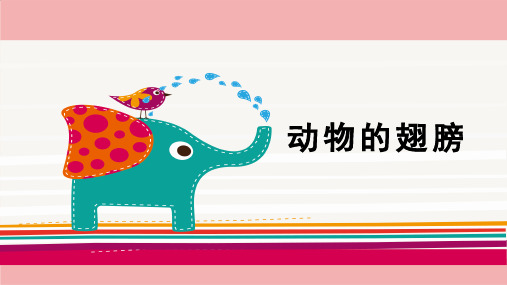 青岛版(六三制)小学三年级科学上册《动物的翅膀》教学课件