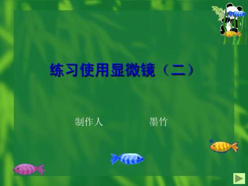 练习使用显微镜(二)