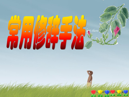 《修辞手法的运用》PPT课件