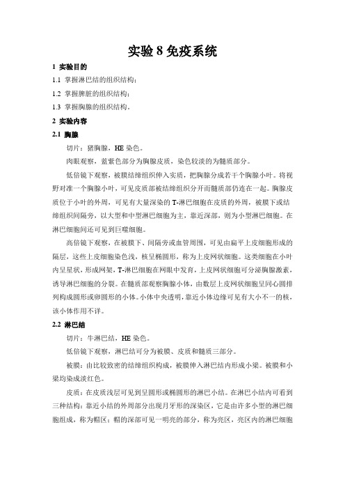 《组织胚胎学》实验8免疫系统