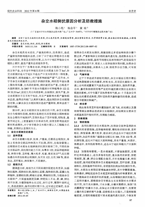 杂交水稻倒伏原因分析及防救措施