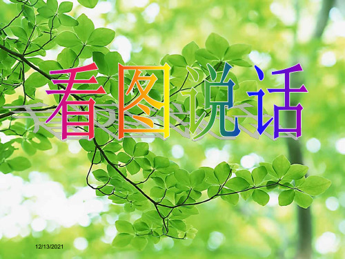 八年级政治上册 第三课 第1框 交往伴一生 一生在交往课件 鲁教级上册政治课件