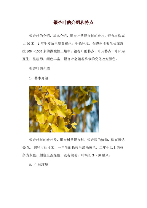 银杏叶的介绍和特点_1