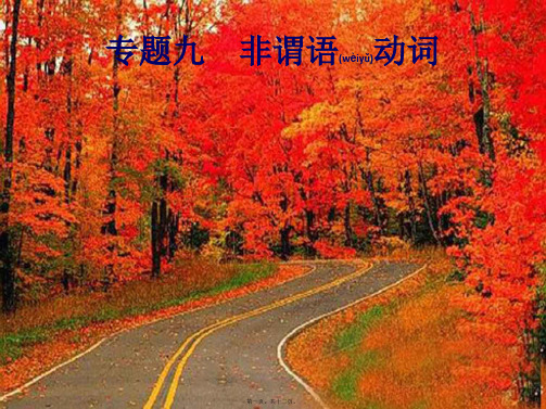中考英语总复习 专题九 非谓语动词课件