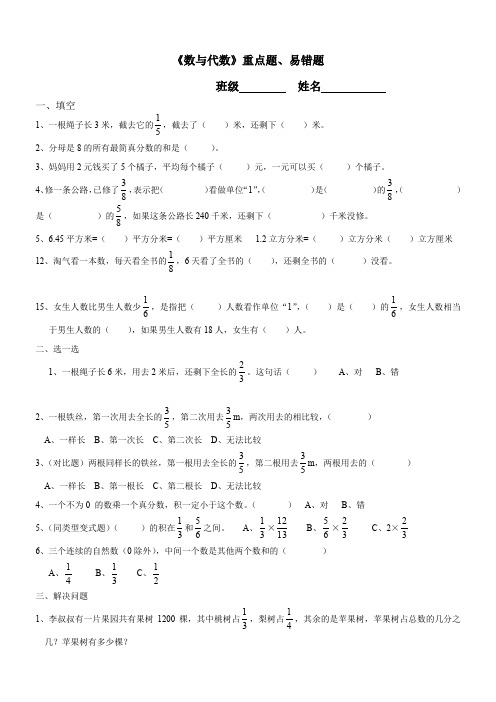 《数与代数》重点易错题