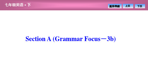 2020春人教版英语七年级下册同步新课件 Unit 7 Section A (Grammar Focus-3b)