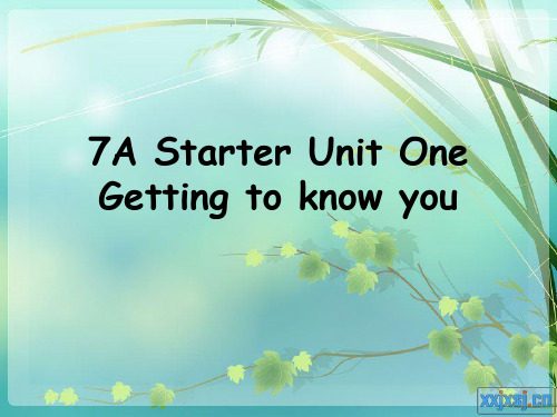 上海版牛津初中英语课件7AStarterUnitOneGettingtoknowyou