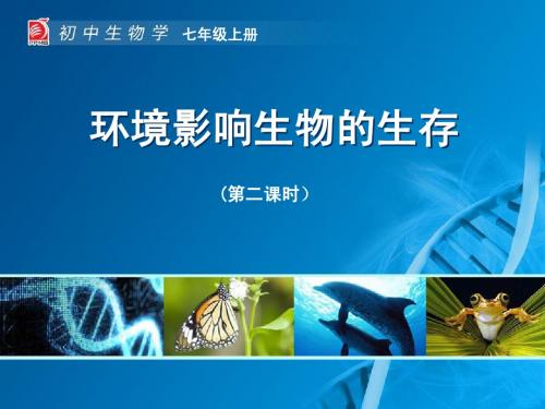 环境影响生物的生存-教学课件