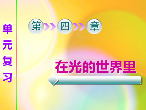 在光的世界里复习课件