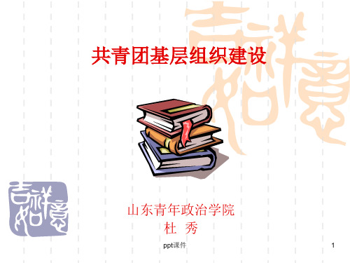 共青团基层组织建设  ppt课件