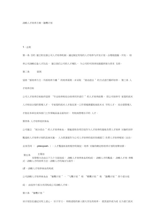 战略人才培养方案~雄鹰计划