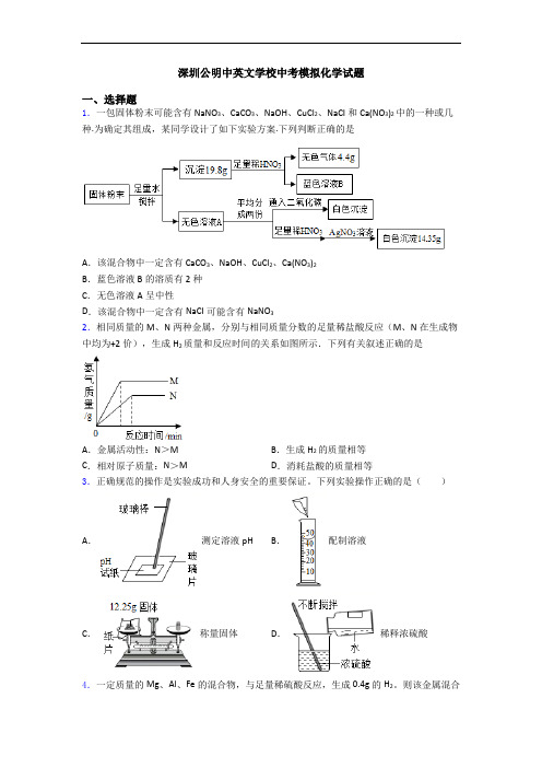 深圳公明中英文学校中考模拟化学试题