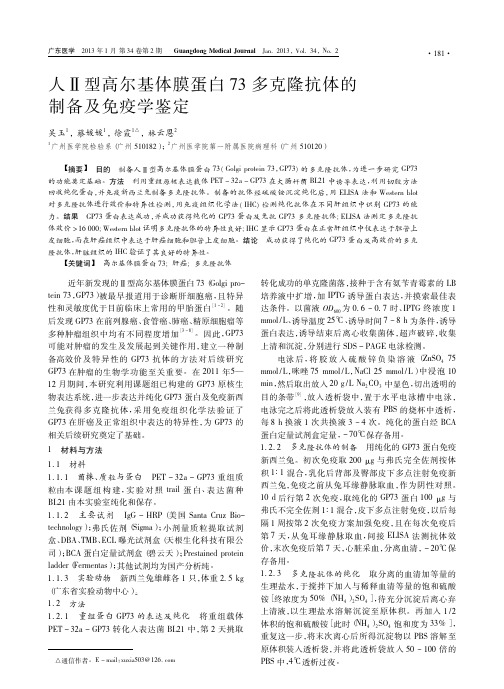 人_型高尔基体膜蛋白73多克隆抗体的制备及免疫学鉴定_吴玉