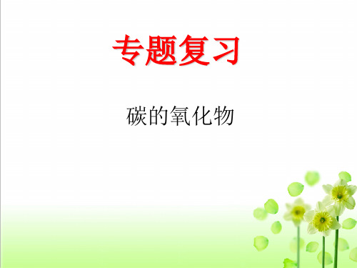中考化学专题复习：碳的氧化物优质课件
