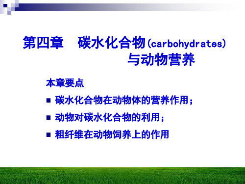 动物营养学 第4-9章.ppt