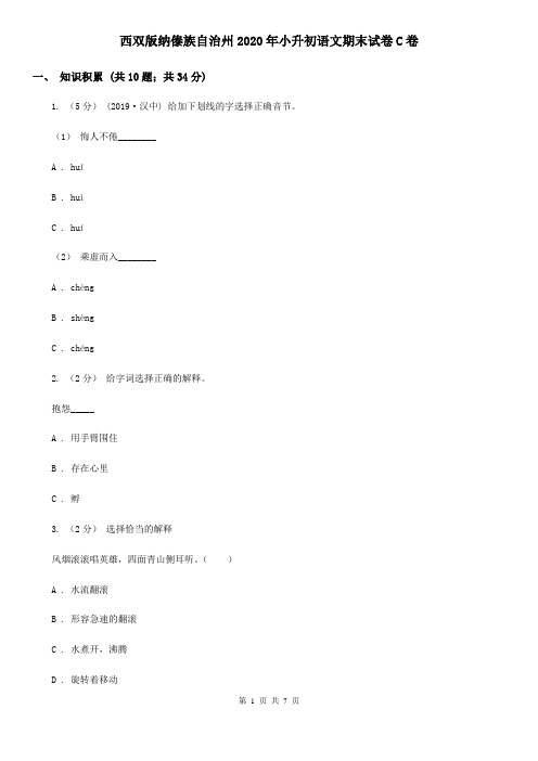 西双版纳傣族自治州2020年小升初语文期末试卷C卷