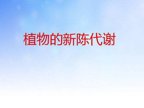 绿色植物的新陈代谢PPT