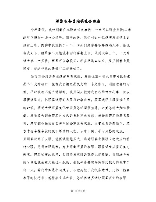 暑期业务员推销社会实践（二篇）