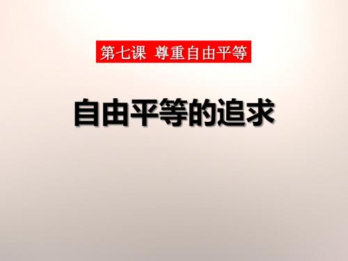 《自由平等的追求》PPT