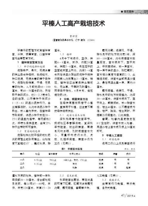 平榛人工高产栽培技术