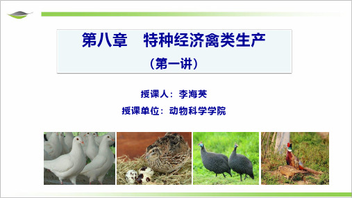 第八章 特禽生产(第一讲)
