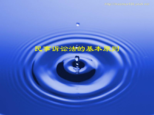 民事诉讼法的基本原则