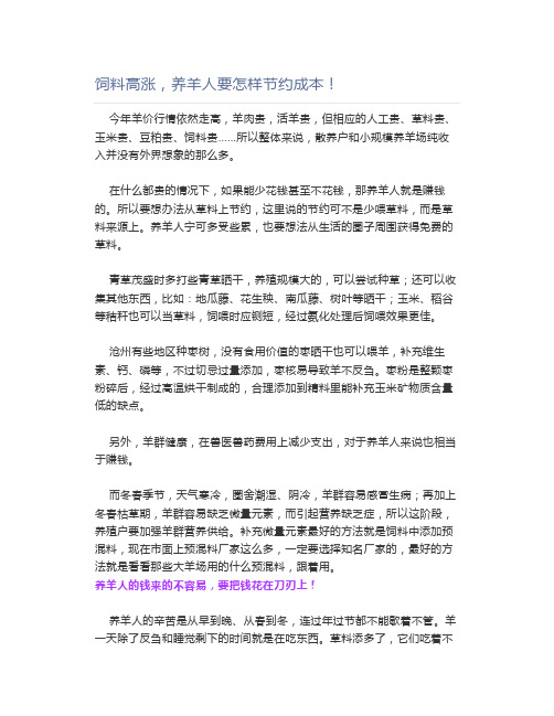 【养羊】饲料高涨,养羊人要怎样节约成本
