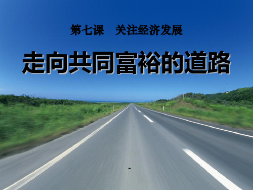 九年级品德_走向共同富裕的道路-PPT课件 