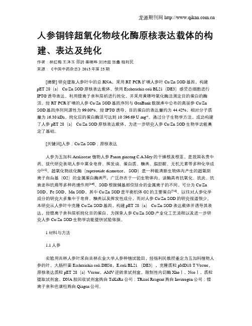 人参铜锌超氧化物歧化酶原核表达载体的构建、表达及纯化
